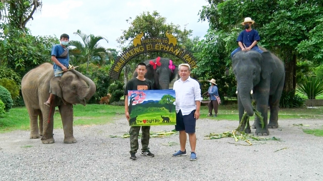 Video. Un pui de elefant pictează tablouri vândute cu sute de lire sterline