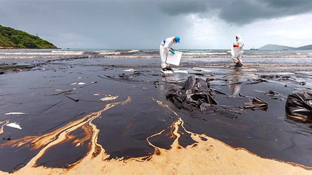 Fauna marină a Mării Negre este  în pericol? Petrolul scurs la Iujno-Ozereievka  s-a întins cu mult