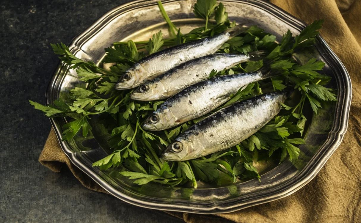 Rețetă: Cum se prepară Pasta de sardine. Un delici garantat de Carmen Brumă