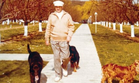Câinii lui Nicolae Ceaușescu au fost tratați regește! Istoric: Dormea cu ei în dormitorul conjugal