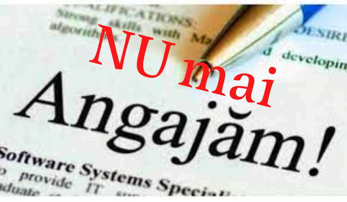 Angajările la stat vor fi suspendate pe perioada 01 iulie – decembrie 2022, cu unele excepții