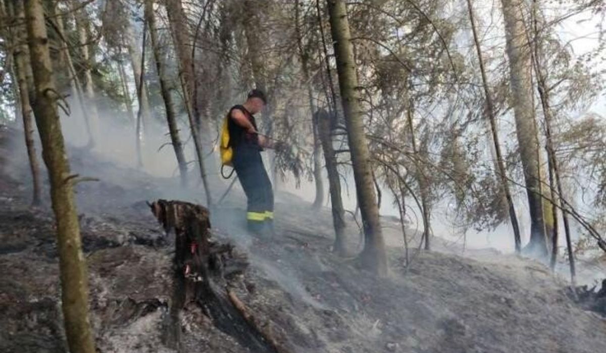 A fost descoperită cauza incendiului de pădure de la Colibița, după ce focul a fost stins