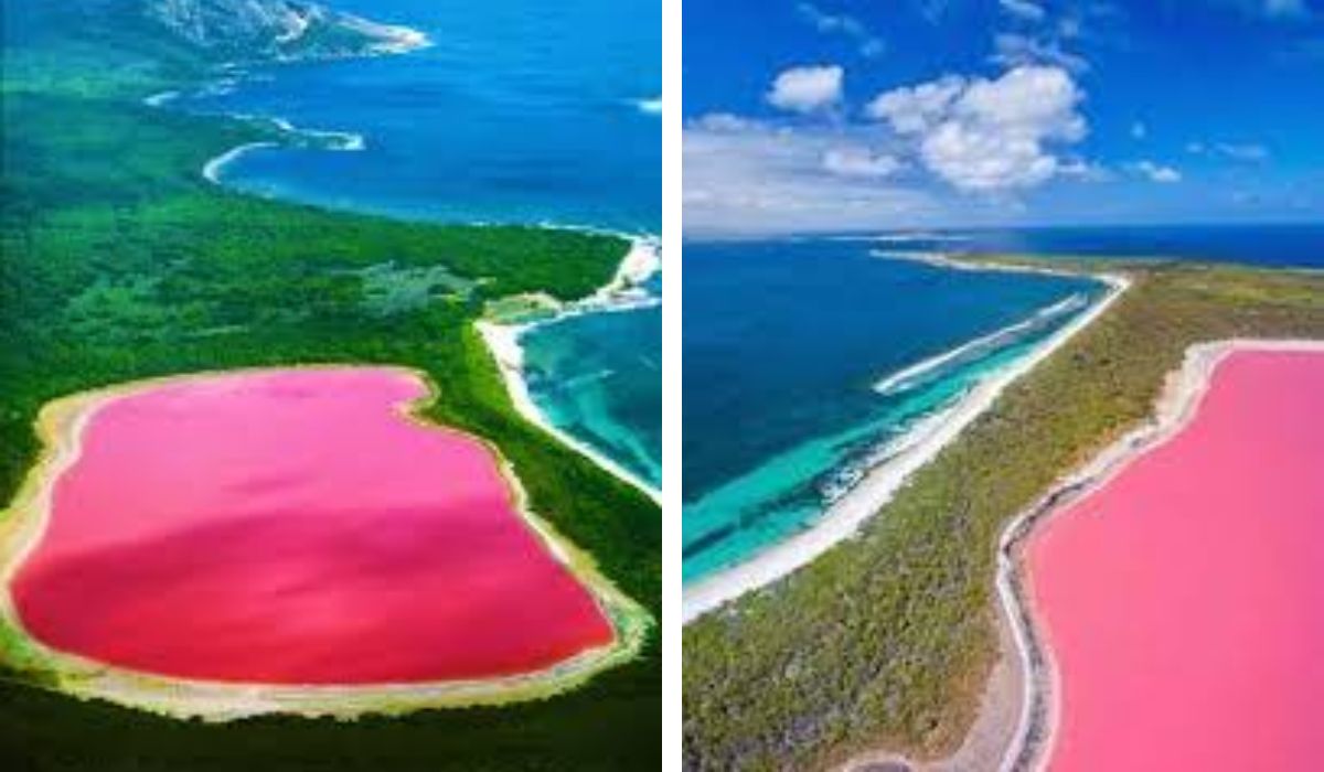 Una dintre minunile Australiei este Lacul Hillier, cu apa de culoare trandafirie. De ce este dată culoarea lacului?