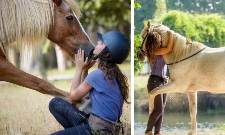 Emoțiile cailor sunt influențate de oamenii din preajma lor, care le pot afecta bunăstarea, fiziologia și comportamentul 