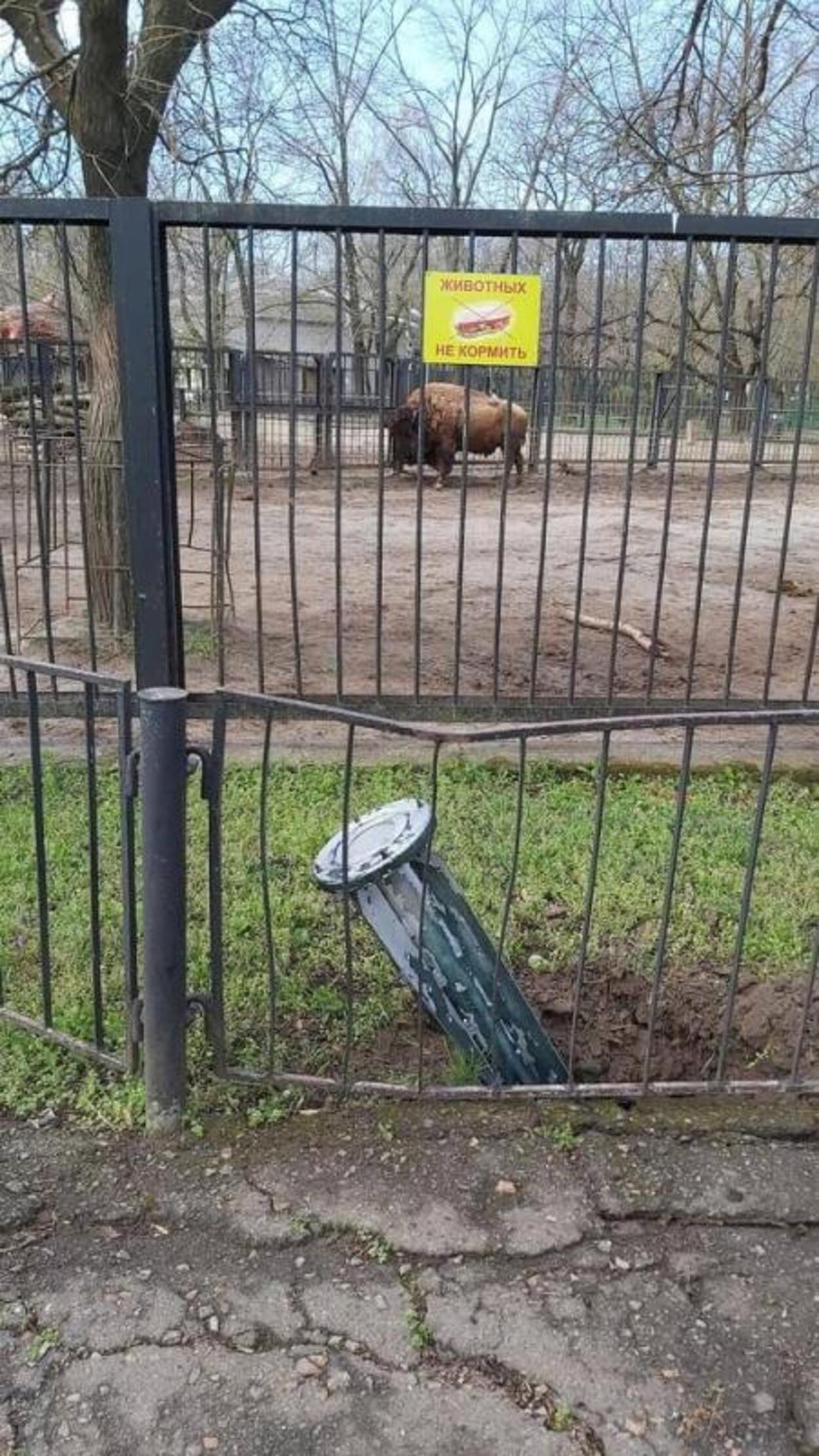 Terifiant. Soldații ruși înfometați de pe linia frontului ucrainean sunt acuzați că au devorat animale de la grădina zoologică