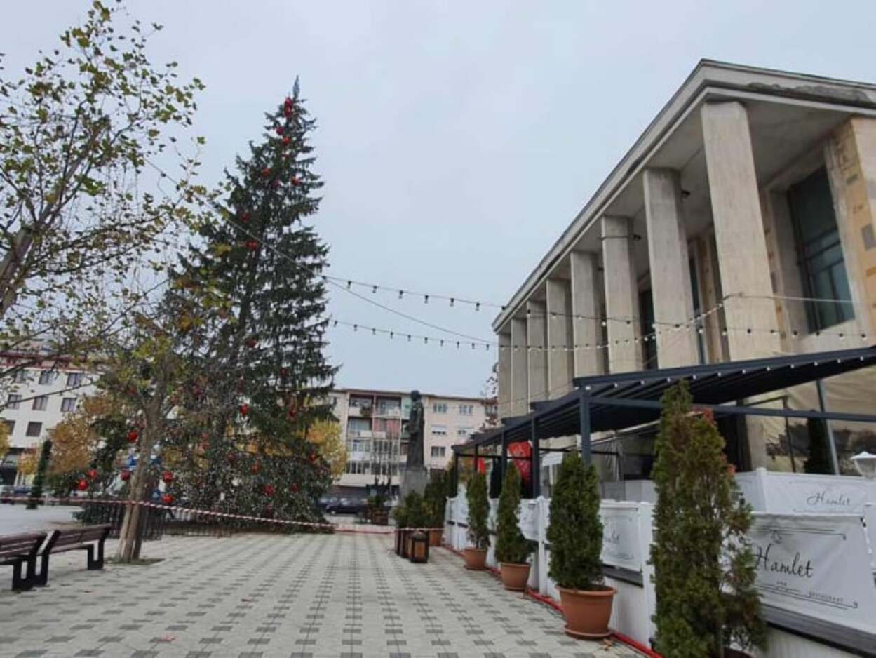 Bacăul se pregătește de sărbătoare doar că bradul său a devenit subiect de miștouri. Imaginile sunt grăitoare