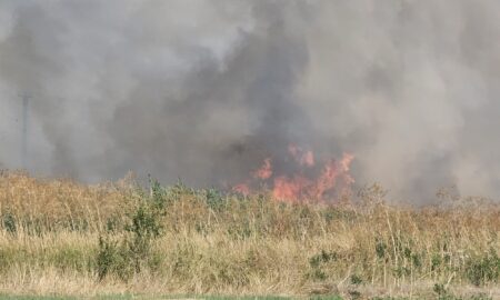 Amenzi în valoare de 65.000 de lei pentru producerea unor incendii de vegetație